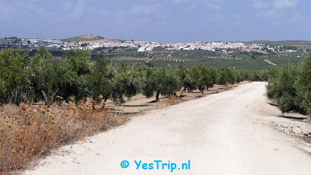xxx From Bujalance to Lopera xxx